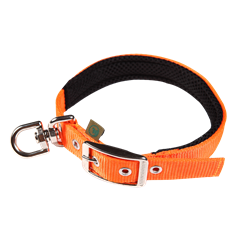 Picture of Dog Collar FOREST with a swivel