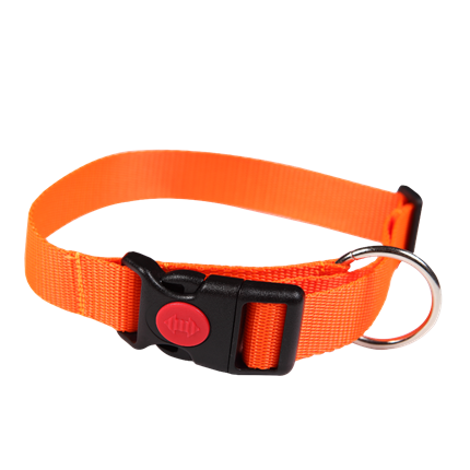 Picture of Retractable Dog Collar FOREST
