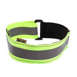 Picture of Collar – green band