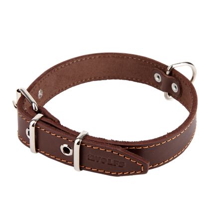 Picture of Dog Collar NATURE