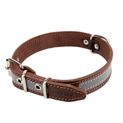Picture of Reflective Dog Collar NATURE