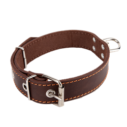 Picture of Dog Collar NATURE with swivel 