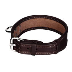 Picture of Dog Collar HEKTOR